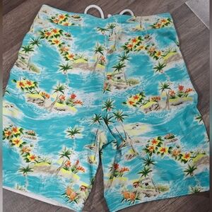 Hollister Aqua Tropical Palm Print Swim Shorts